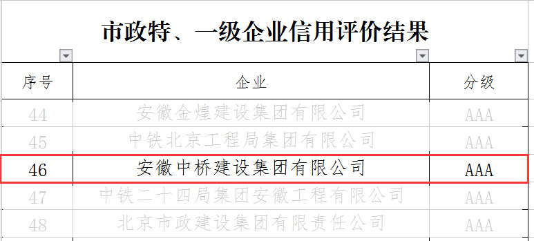 喜訊｜公司榮獲2021年（第二次）合肥市施工企業(yè)信用綜合評(píng)價(jià)雙項(xiàng)AAA信用等級(jí)(圖2)