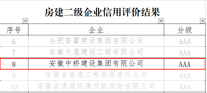 喜訊｜公司榮獲2021年（第二次）合肥市施工企業(yè)信用綜合評(píng)價(jià)雙項(xiàng)AAA信用等級(jí)(圖3)